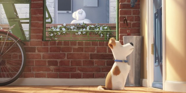 petsnovotrailer2