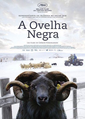 aovelhanegra