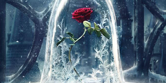 belaferanewposter
