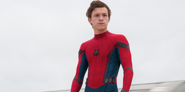 tomspider
